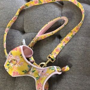 Harness & leash set
